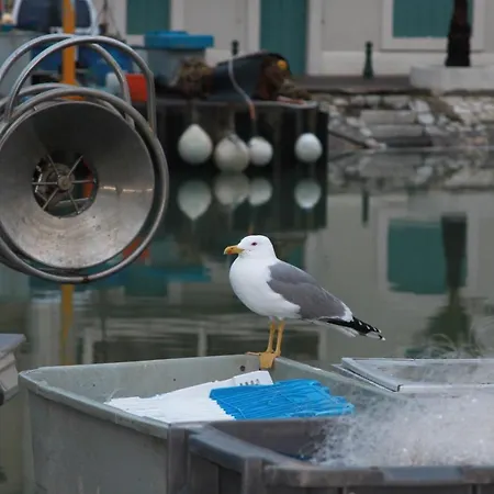 Appartement L'imperial *