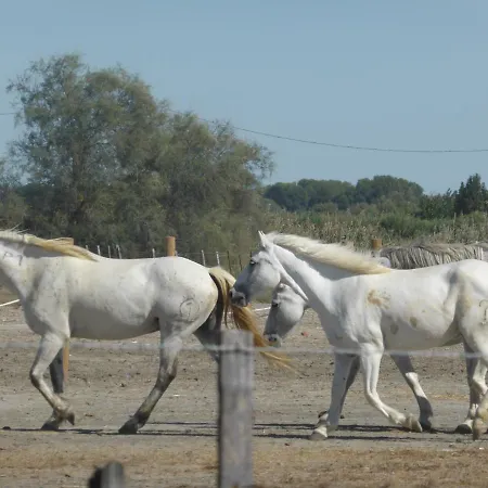 L'imperial Appartement Le Grau-du-Roi