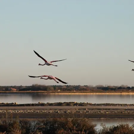 Appartement L'imperial *